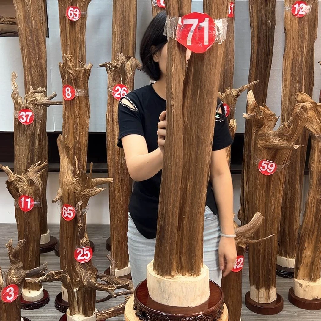 沉香碎屑沉香沉香碎屑