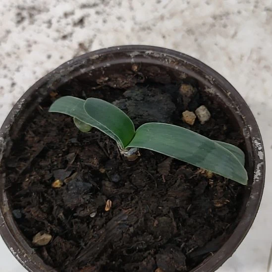 用***5完全开放9445专属链接