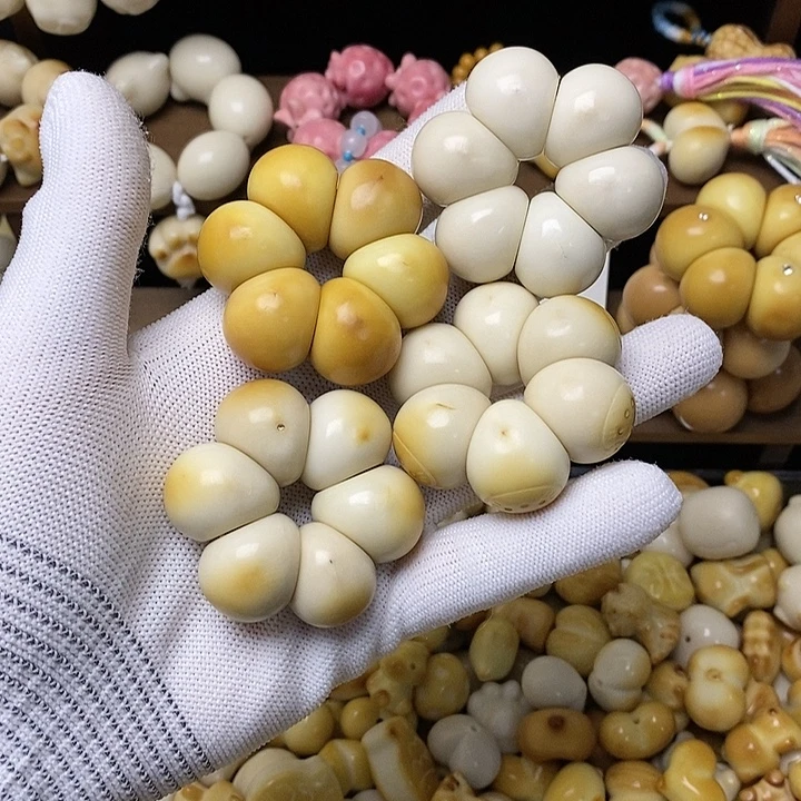 吊坠菩提根/象牙果