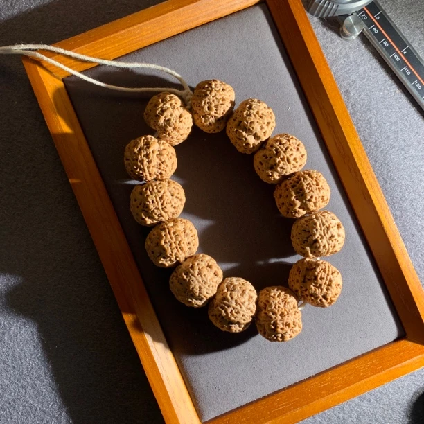 方墩墩粗筋爆肉毕业超牛 大金刚古龙籽吊打所有爆肉籽 XC003