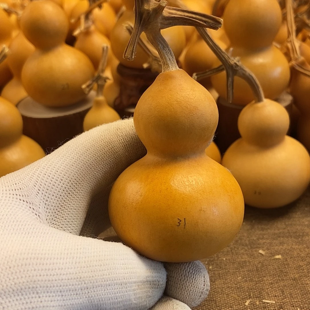 文玩葫芦 完美主义者 慎拍31