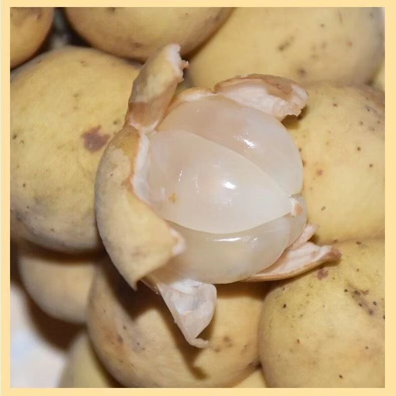 新鲜龙宫果当季稀有热带水果酸甜嫩多汁