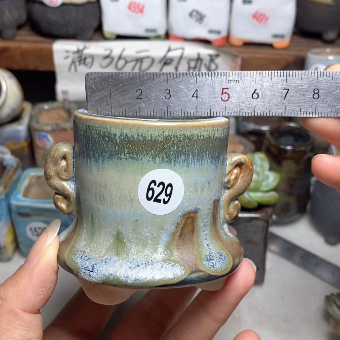 拍5送一个小礼物