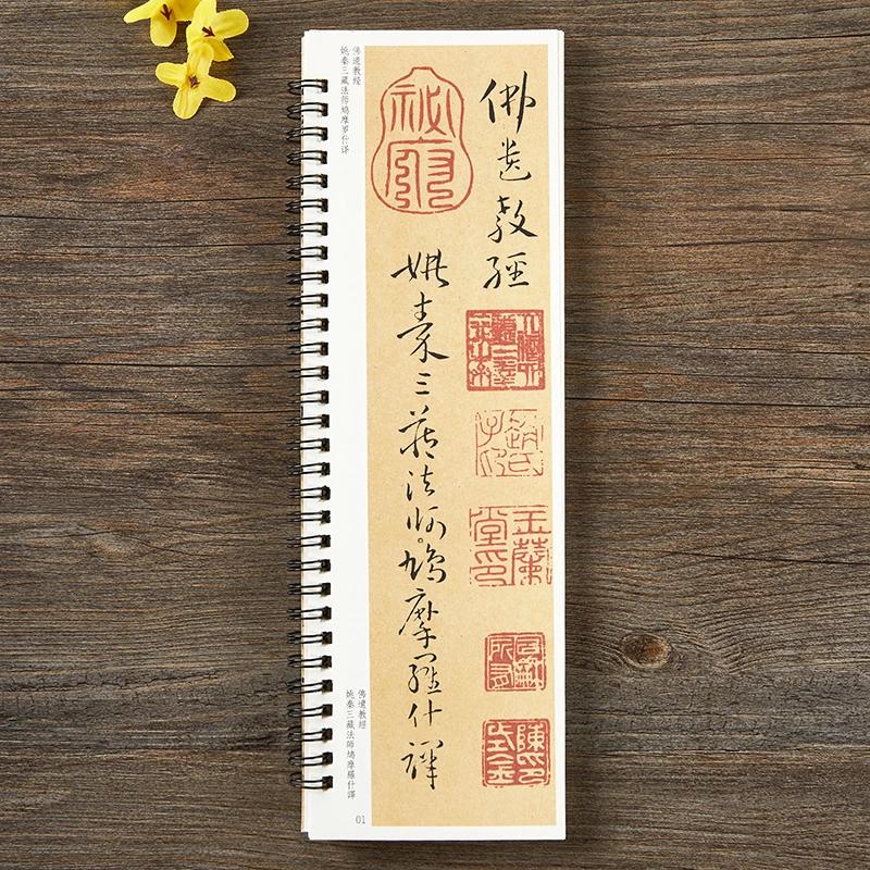 孙过庭佛遗教经草书毛笔书法字帖 唐代章草小草初学者入门