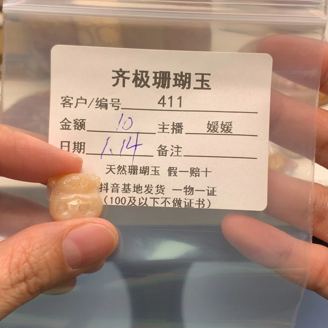 硅化珊瑚（珊瑚玉）颈饰未镶嵌一**条