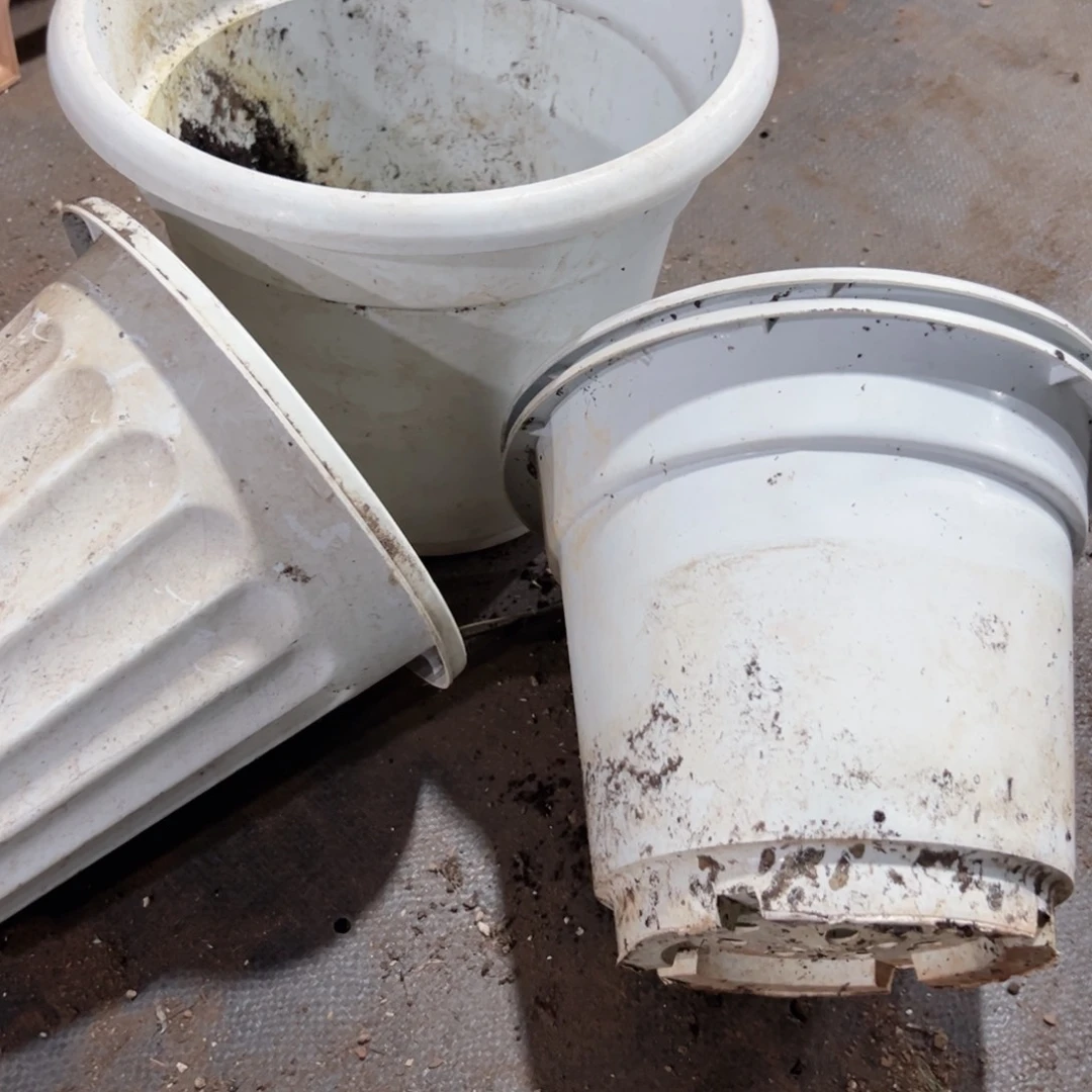 白高端盆组合 23-25-29口径 4个