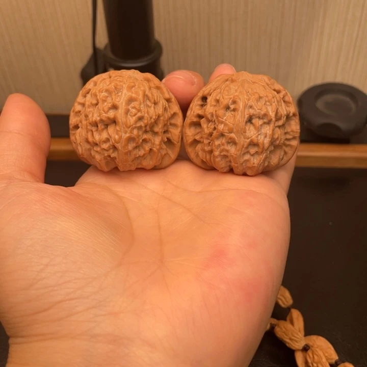 核桃全品41尺白狮子