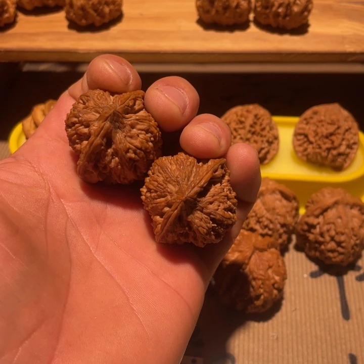 今***几核桃39满天星。。。。。。