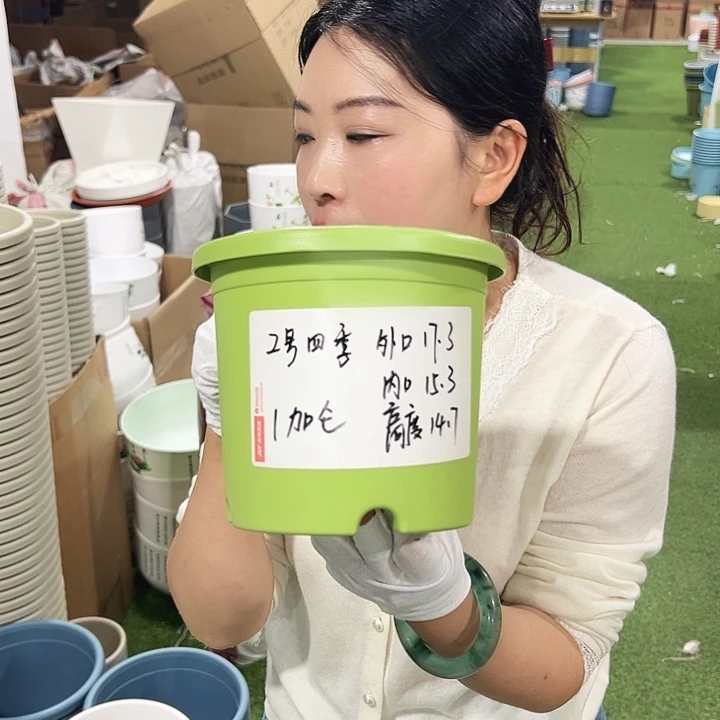特价2号四季口17高15白色10只无托