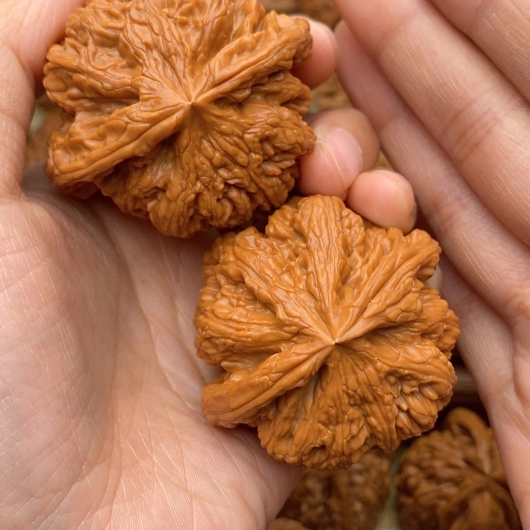 把件文玩核桃509号50全粗筋