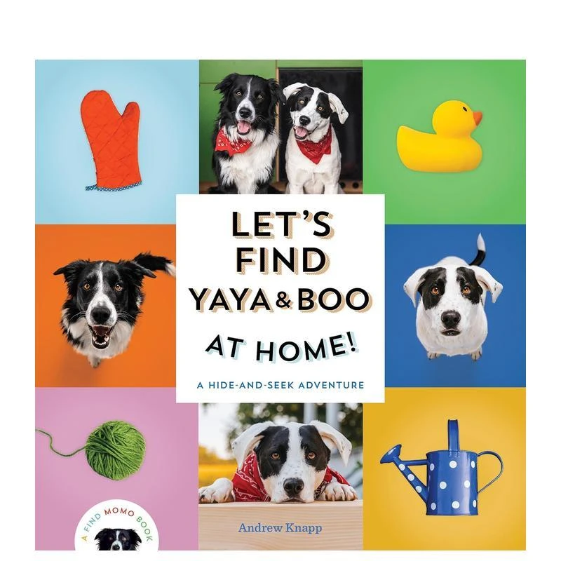 寻找亚亚和小布：交通工具 【Find Momo】Let's Find Yaya and Bo