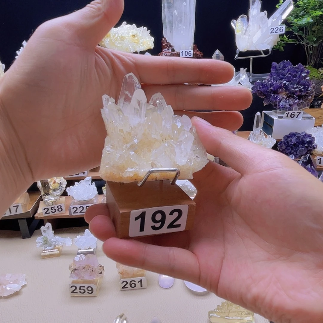 马达加斯加