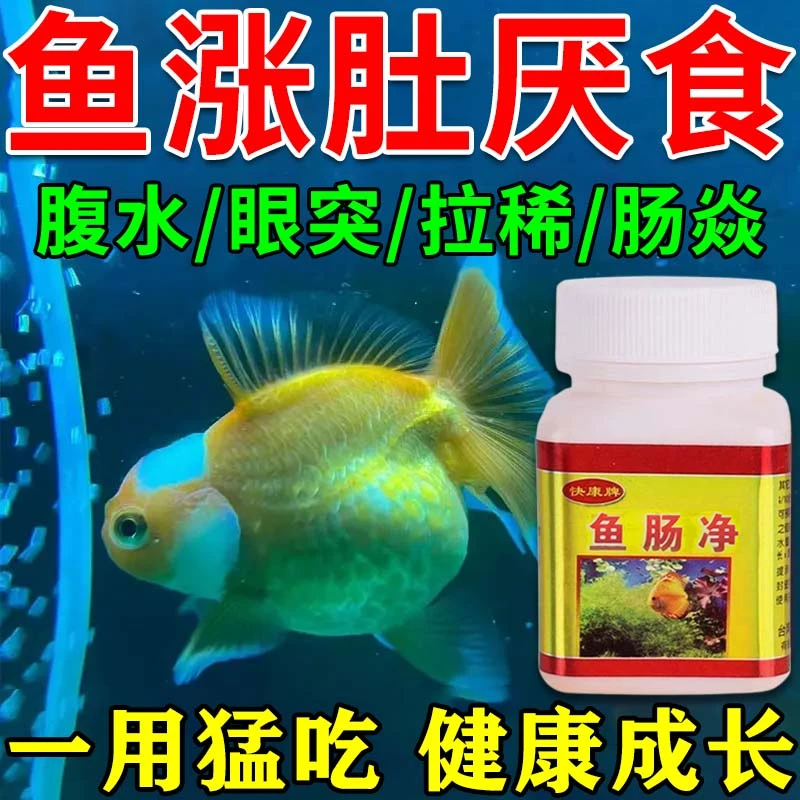 鱼肚子肿胀怎么急救肠炎灵鱼拉稀白便肛门红肿拖便腹水鱼缸专用