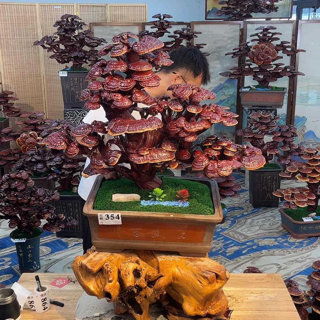 无花朵88888888888