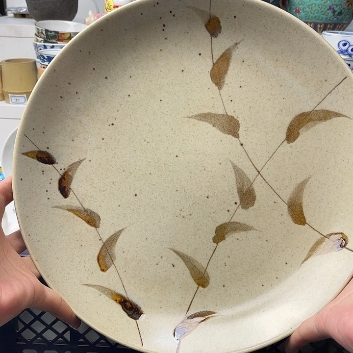 瓷片小***璃哈哈哈我要看的时候他的