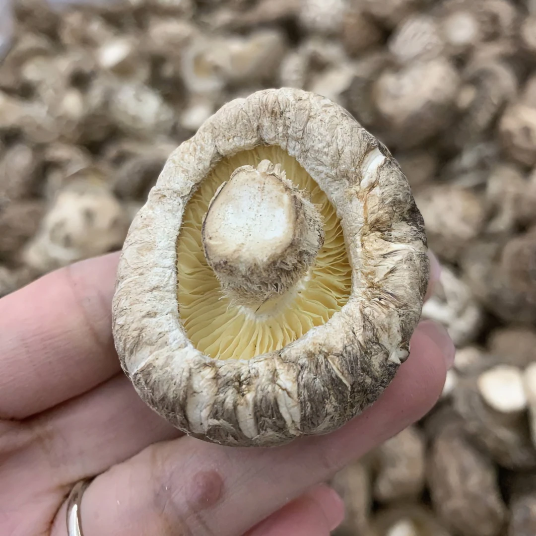【翠妹】（次日达）花菇、浓浓的菇香味、闷鸡、闷鸭、炒肉片、煲汤