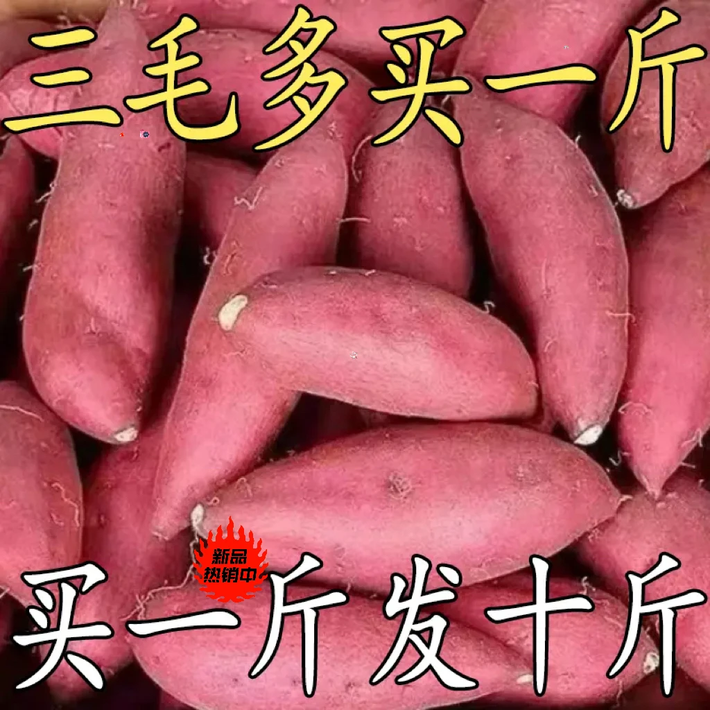 超甜沙地蜜薯1/5斤无丝红心红薯地瓜红苕番薯西瓜红软糯香甜美味