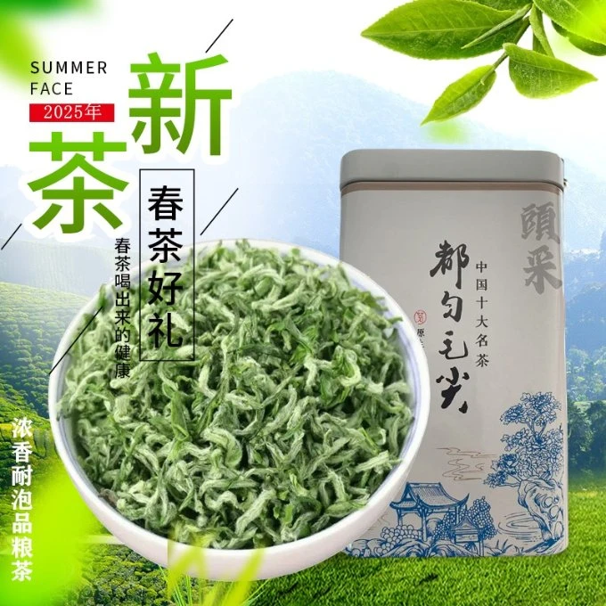 2025年新茶D07贵州都匀毛尖春茶明前高山云雾绿茶新茶2025年春茶