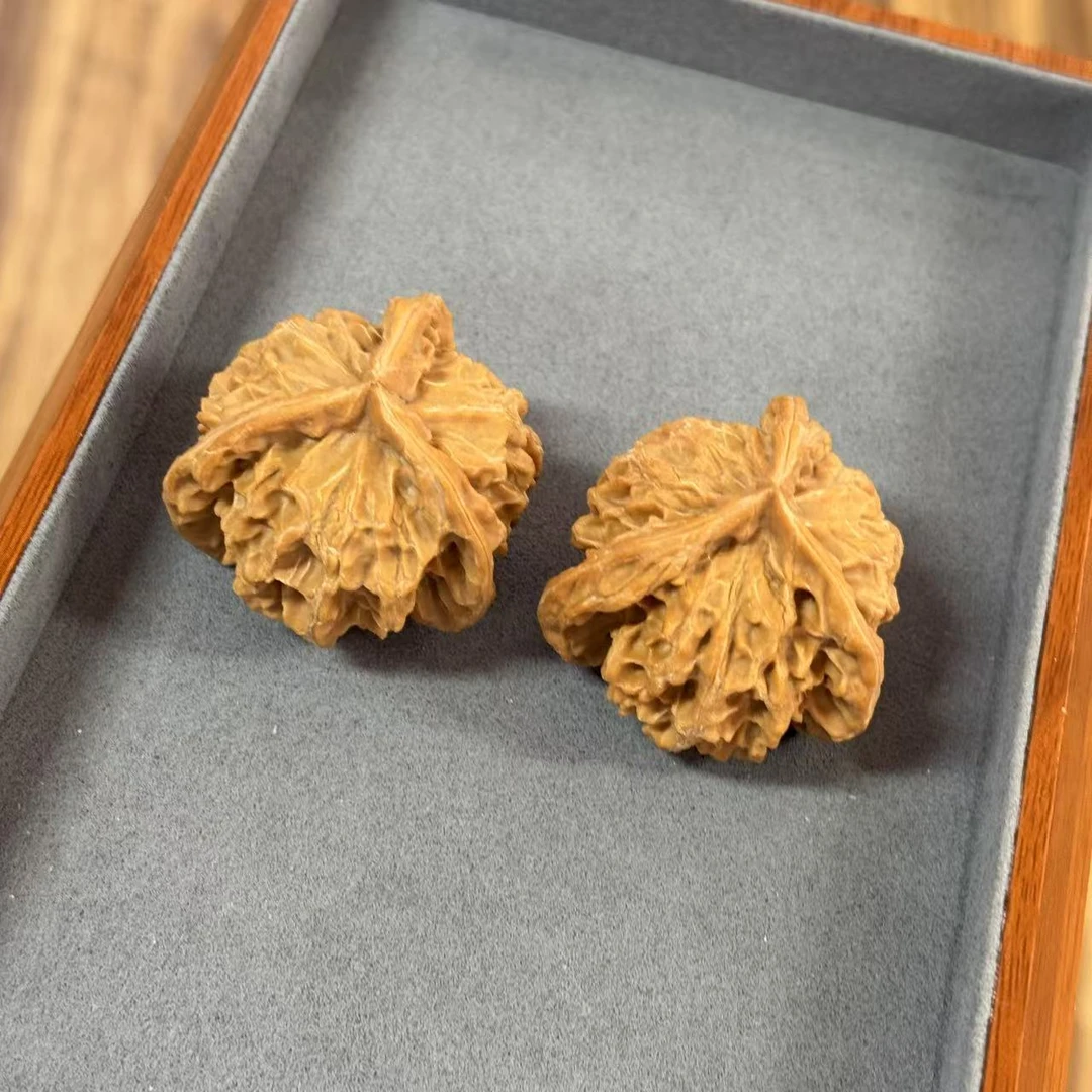 【刘云天专属】L322 核桃三棱 多样性发一件 44mm（预）