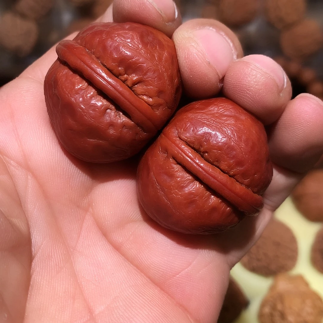 文玩核桃手捻秋子龙胆