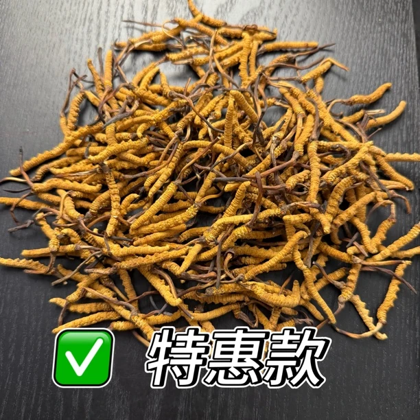 特价草（自吃巨划算）注意是中期冬虫夏草