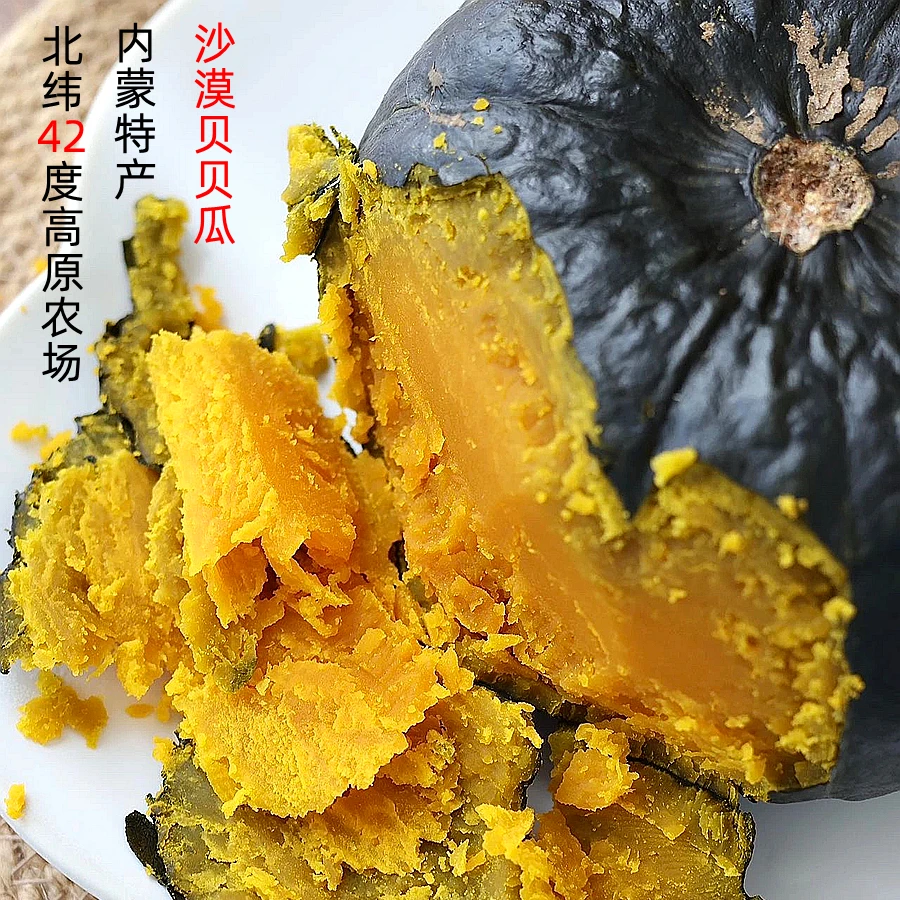 内蒙古沙地贝贝南瓜板栗应季新鲜蔬菜四子王旗正宗甜糯贝贝南瓜