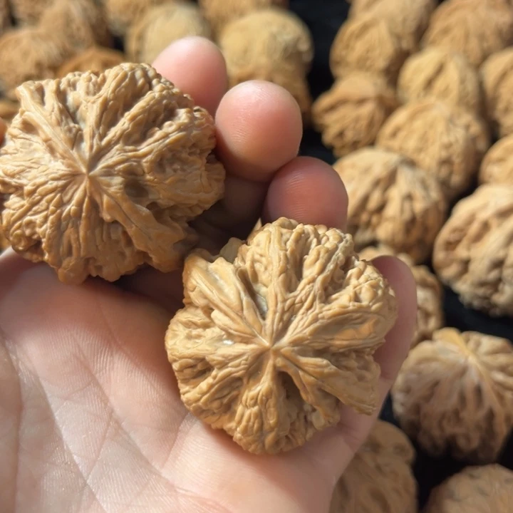 戒***瘾大大大大大大大大粗筋