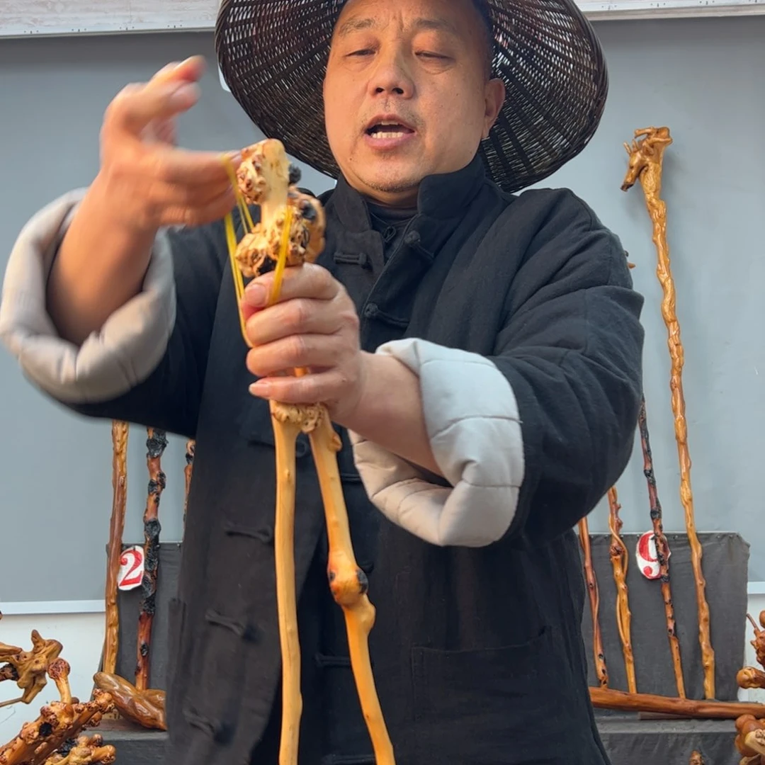 黑果木其他黑果木254