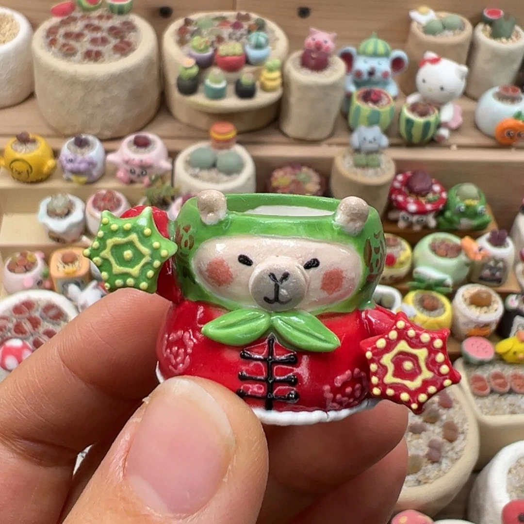 平***我多肉植物90号海葱两个