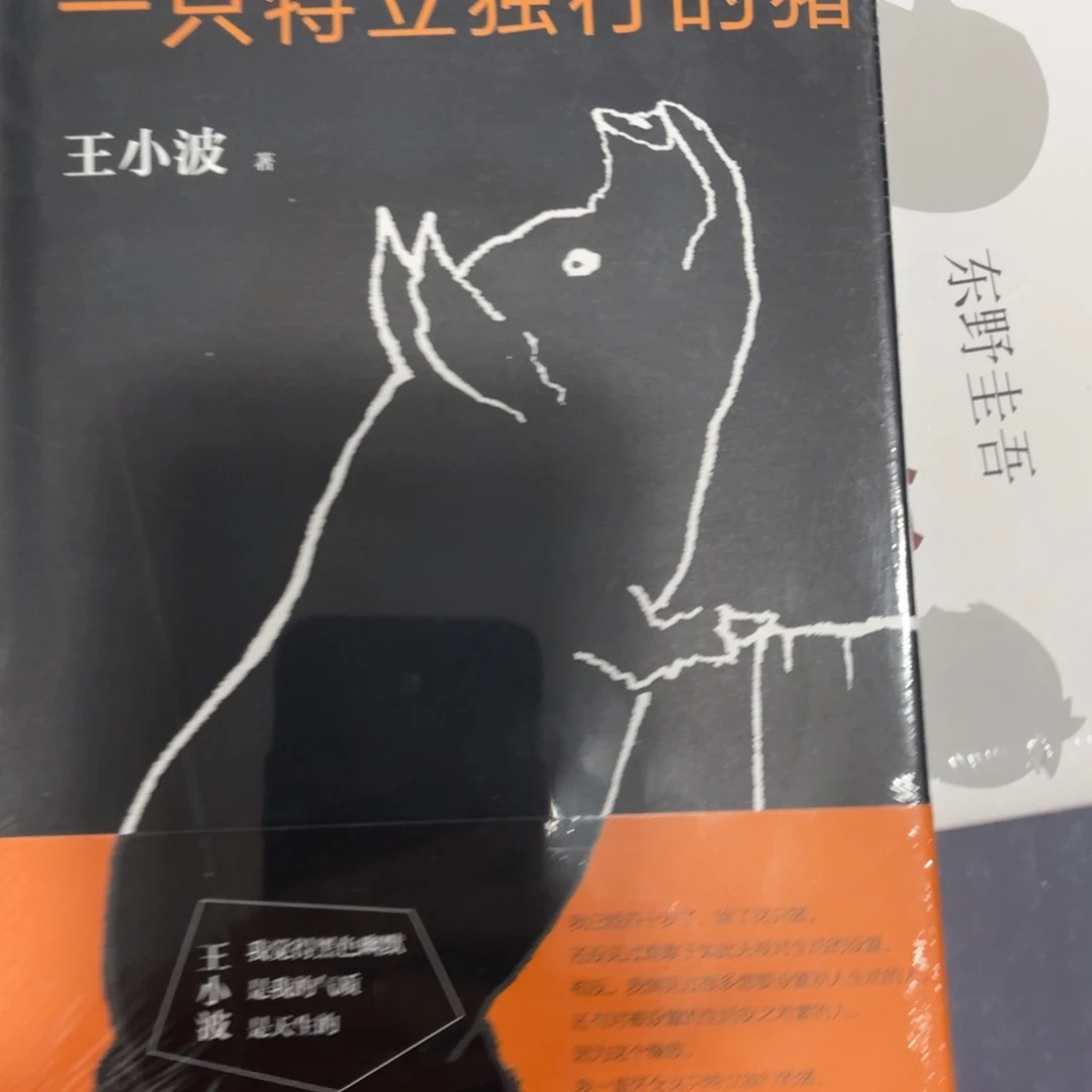 一只特立独行的猪