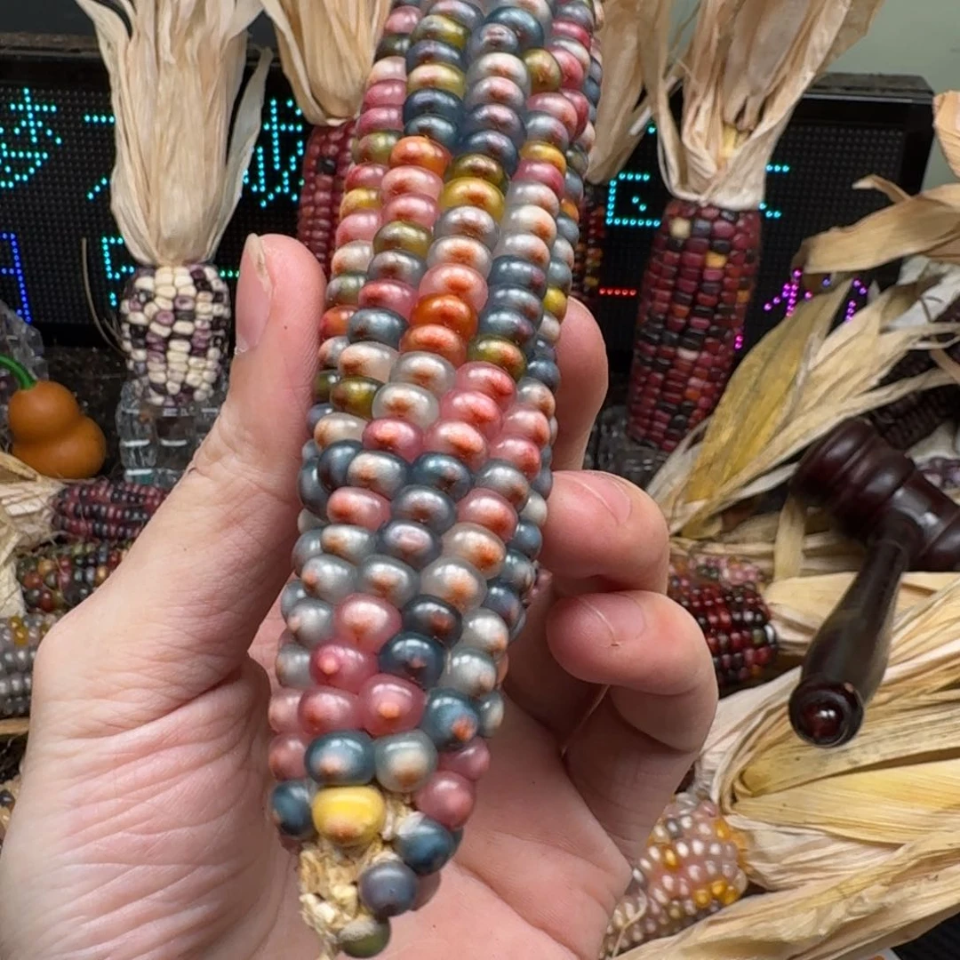 柏香籽/百香籽吊坠七*