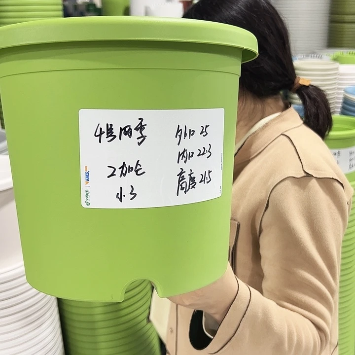 特价4号四季盆口25高21果绿色无托8支