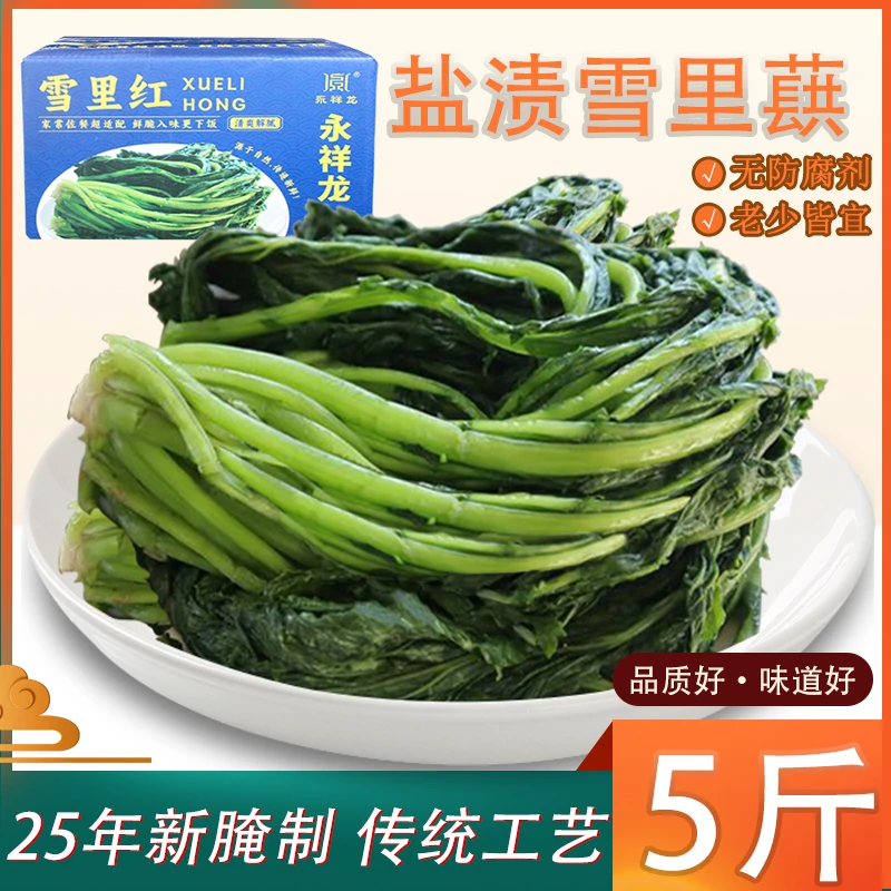 永祥龙雪里红东北雪里红雪里蕻咸菜新鲜盐渍雪里红东北农家雪菜