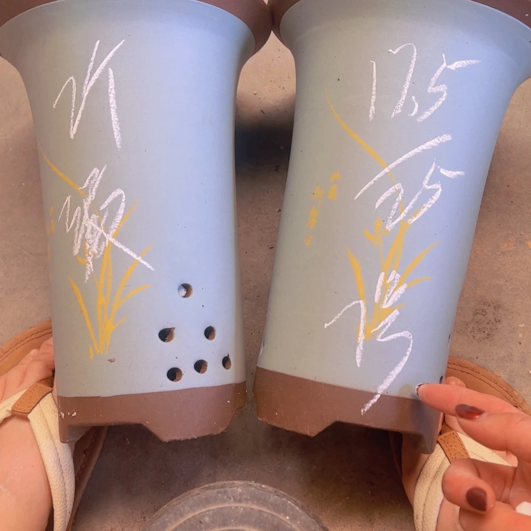 7号………………………………………………………………