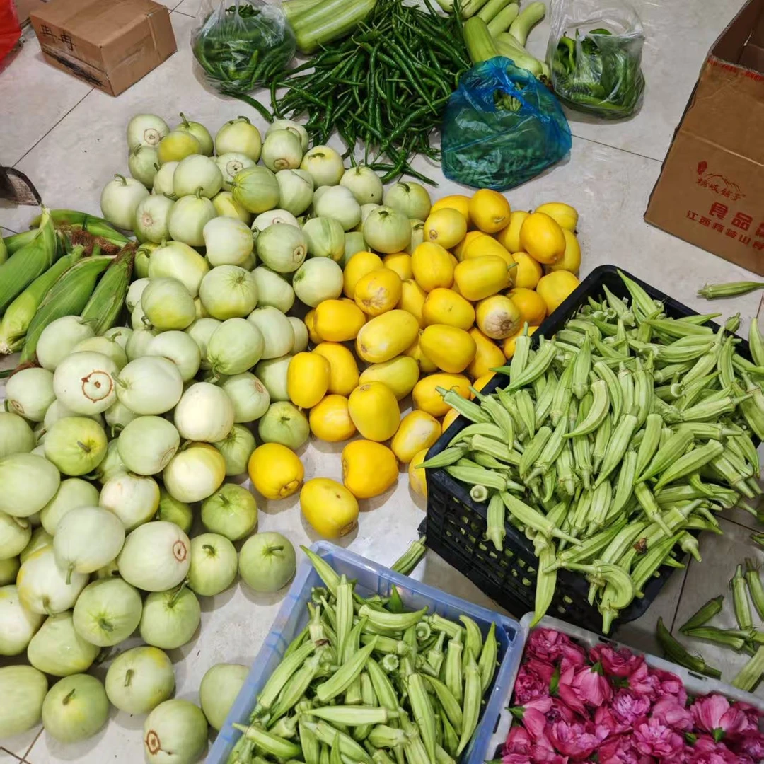 农家新鲜瓜果蔬菜