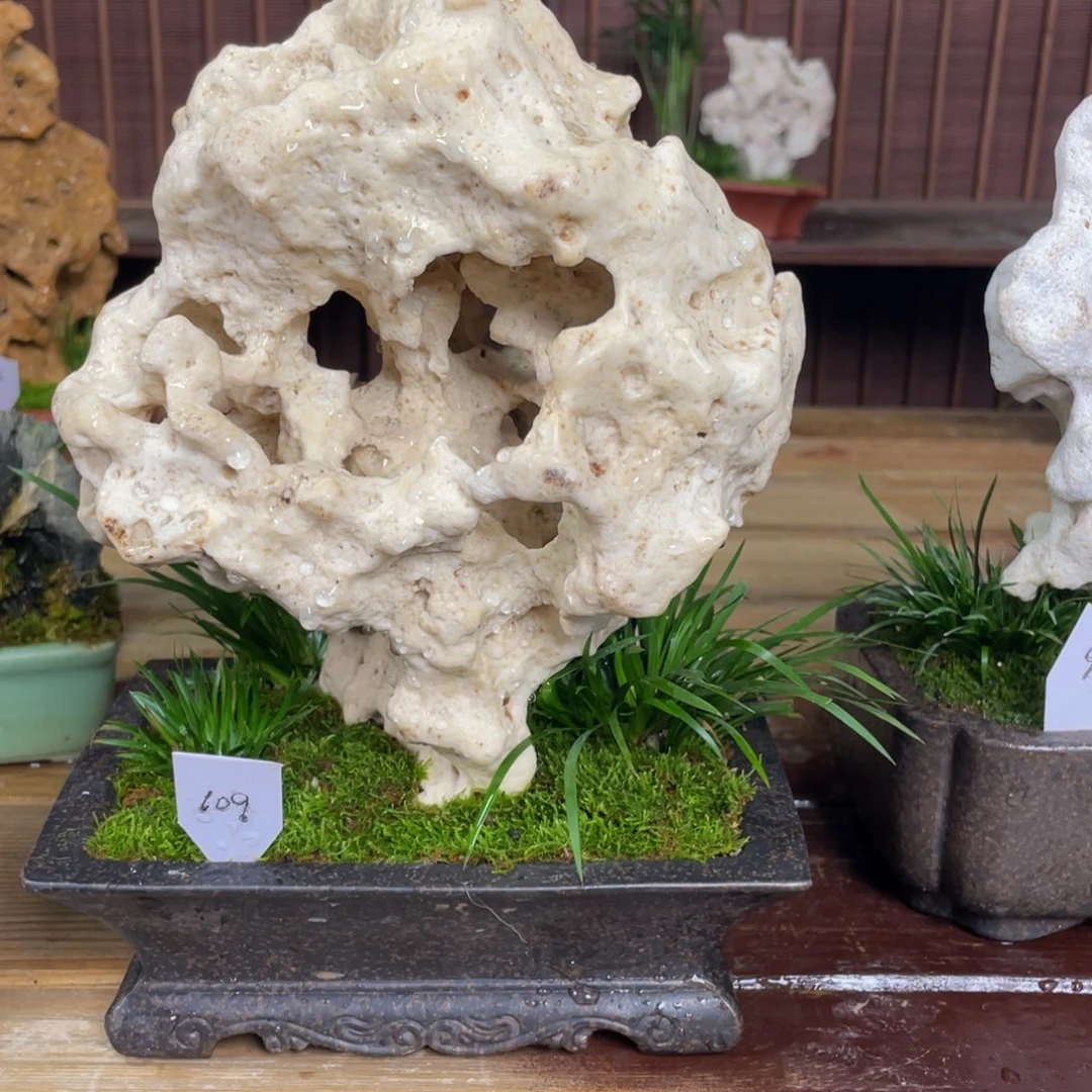 石材水**年山水，盆景，造景