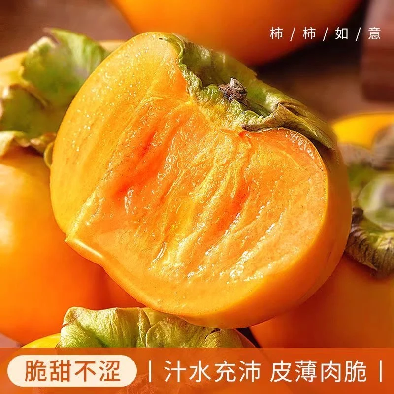 【放至变黄食用】阳丰巧克力脆柿子新鲜水果坏果包赔