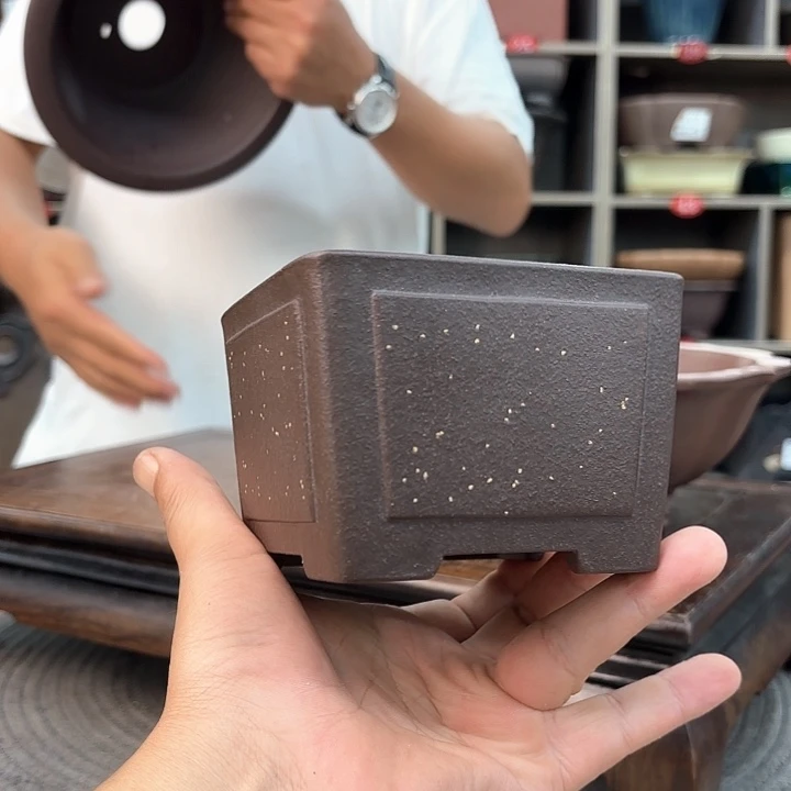 紫砂花盆紫砂的花开了没有呢