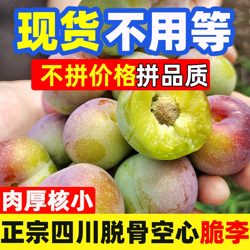 四川半边红正宗茵红脱骨李当季新鲜水果