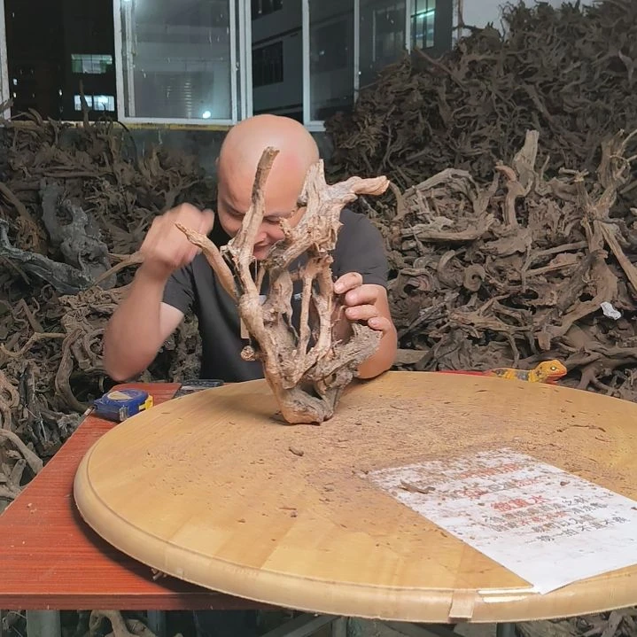 木鱼缸造景 杜鹃127