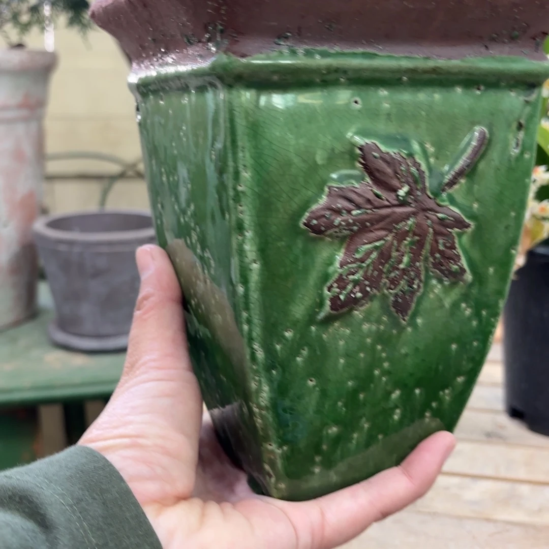 许纯的花房 方口釉面枫叶