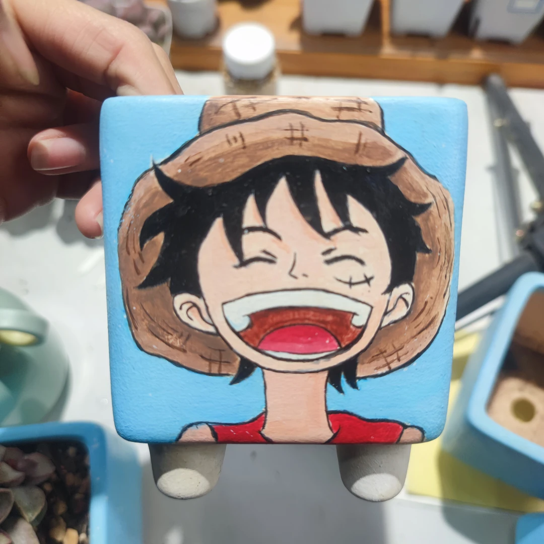 多肉植物花盆*纯手绘花盆【盆口8cm】四个