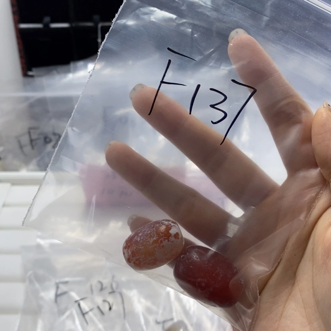 倔***逗合金玛瑙/玉髓珠宝半成品