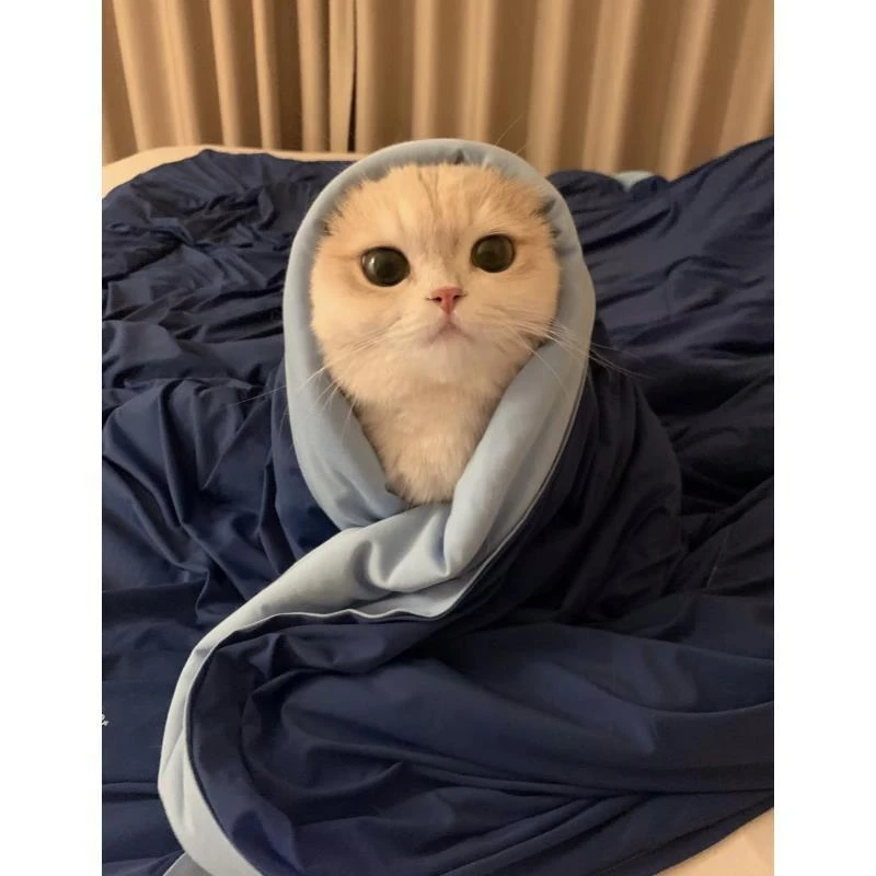 老得劲了！双感简约空调被夏凉被