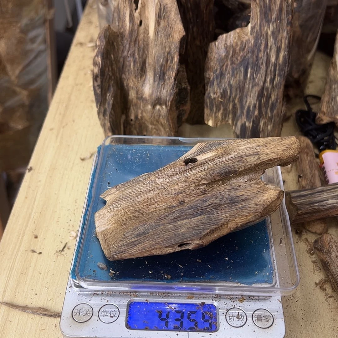 香料绿奇楠虫漏43克乌身