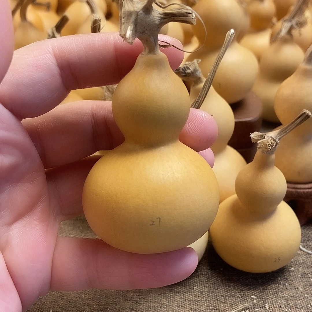 文玩葫芦 完美主义者 慎拍27