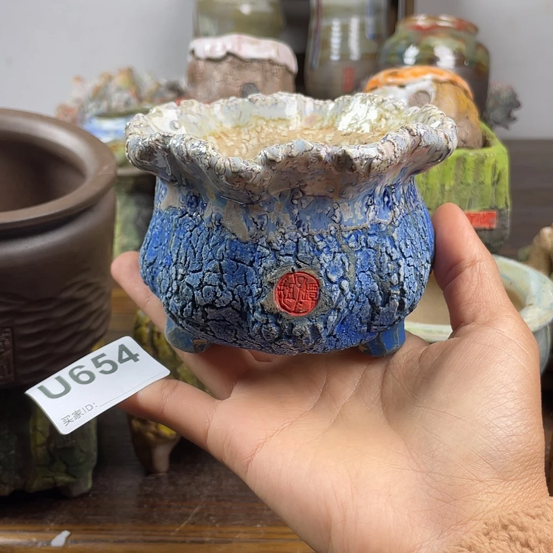 默认微次 元旦福利 坛子姐花盆