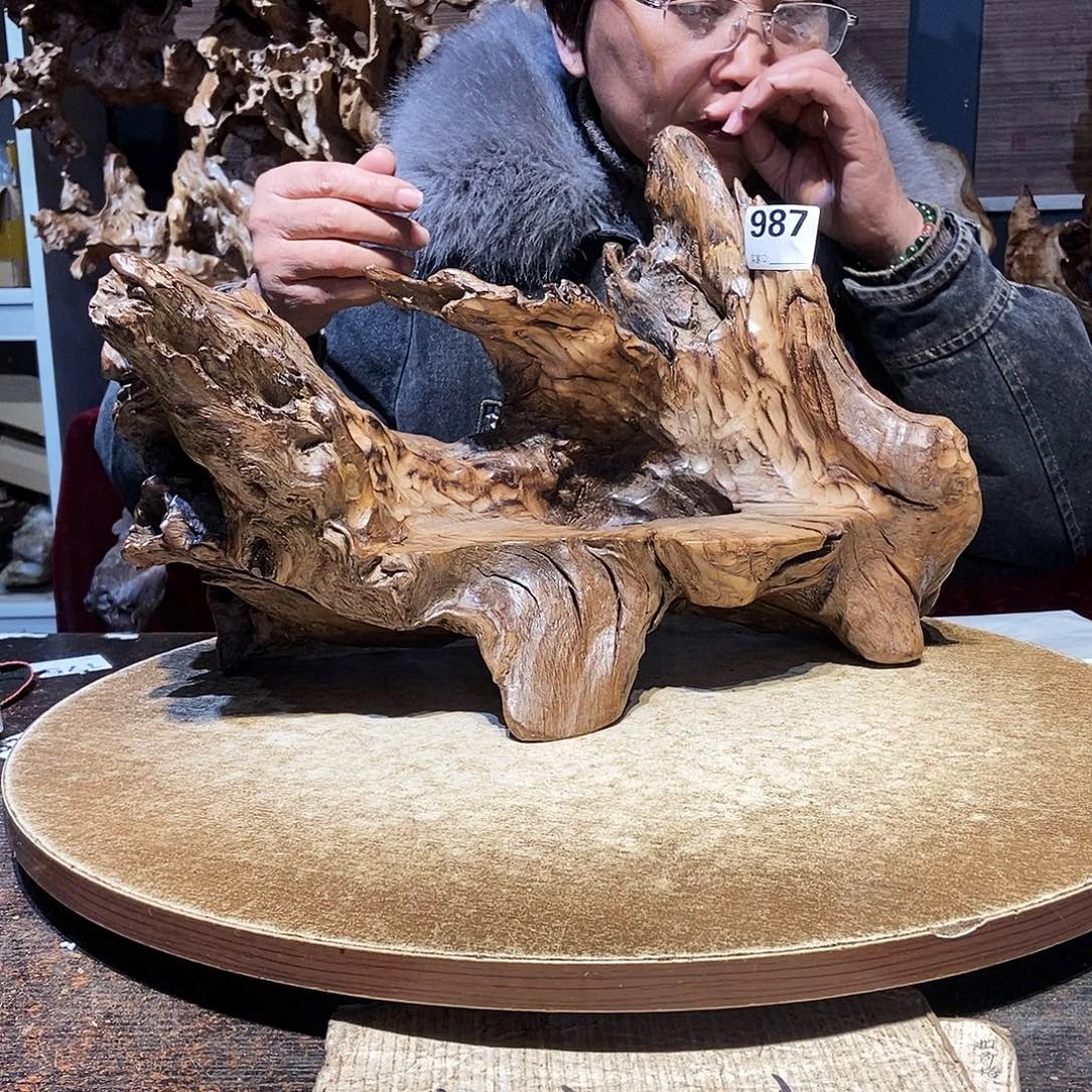 搬***雷987。株木随行根艺