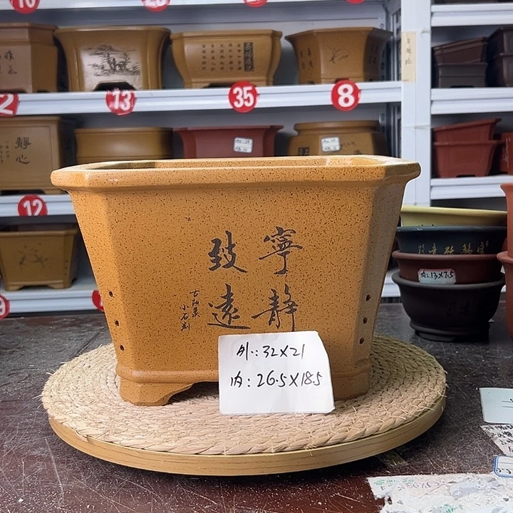 紫砂花盆蛇年大吉