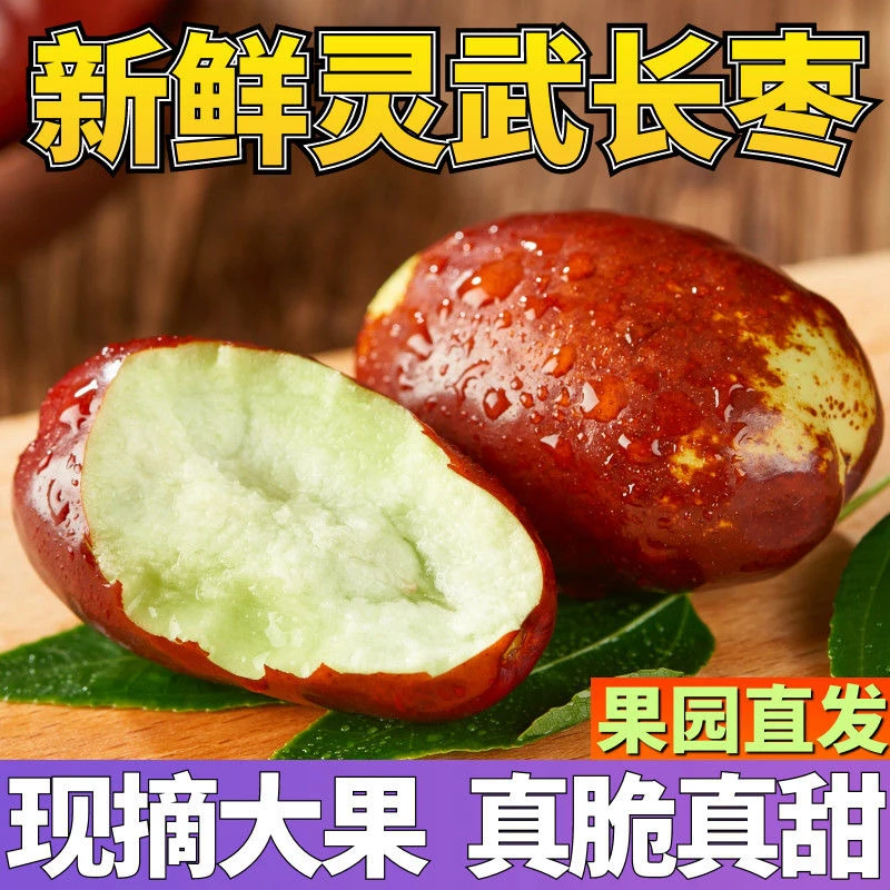 宁夏灵武长枣新鲜当季水果现摘现发脆甜多汁皮薄肉厚